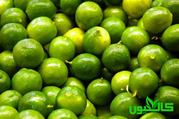 قیمت عمده لیمو کوچک صادراتی