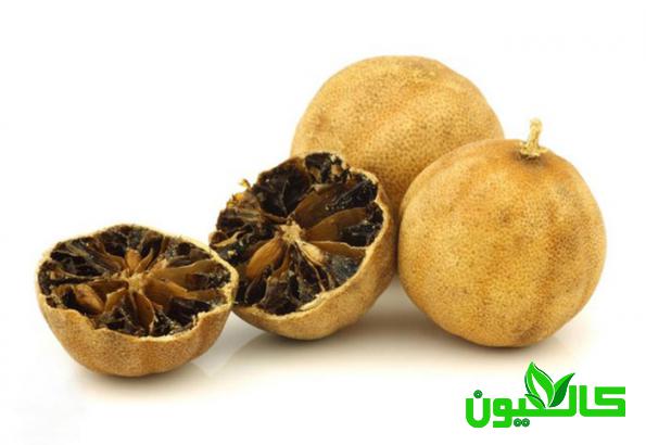مراحل تولید لیمو عمانی سفید جهرم
