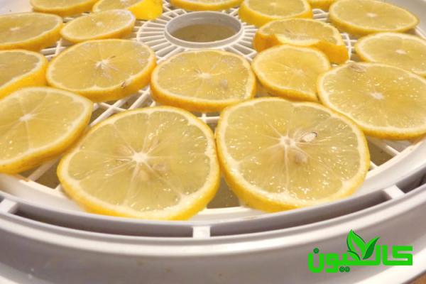 آشنایی با مراحل تولید لیمو خشک 