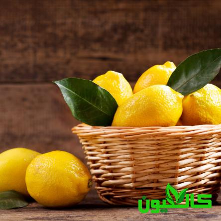 پخش مستقیم لیمو ترش صادراتی