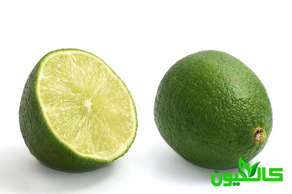قیمت خرید لیمو ترش سبز