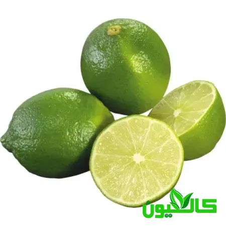 خرید ویژه لیمو ترش سبز صادراتی