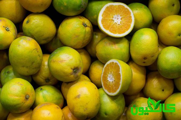 پخش مستقیم لیمو ترش ارگانیک