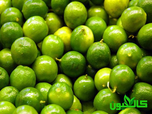 قیمت عمده لیمو ترش سبز صادراتی