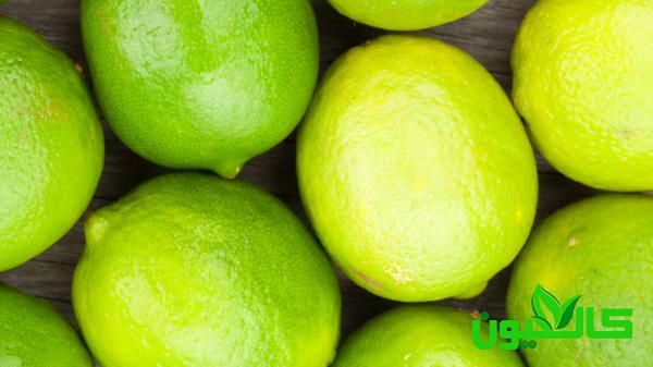 قیمت استثنائی لیمو سبز صادراتی مرغوب