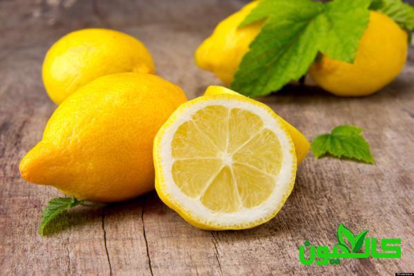 فروش لیمو ترش صادراتی جهرم