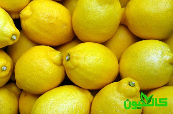 عرضه مستقیم لیمو ترش مرغوب صادراتی