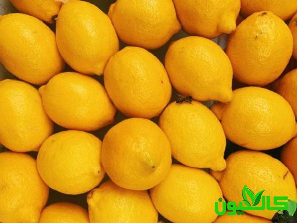 بهترین زمان برای مصرف لیمو ترش