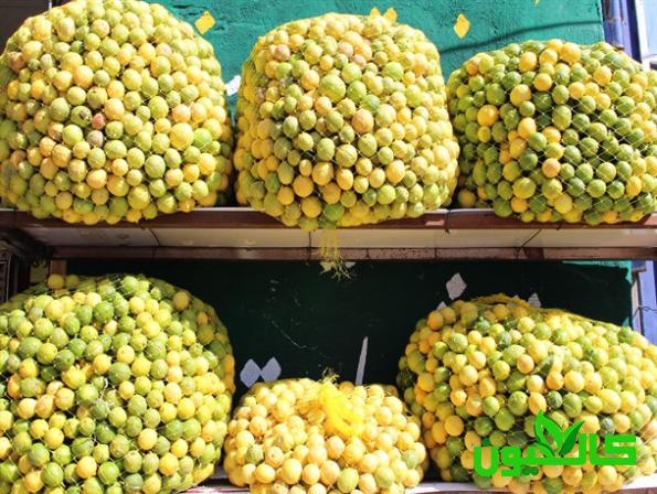 بازار فروش لیمو چهار فصل