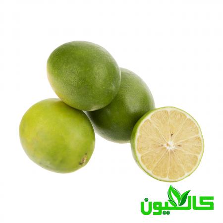 بازار خرید لیمو ترش مینیاتوری