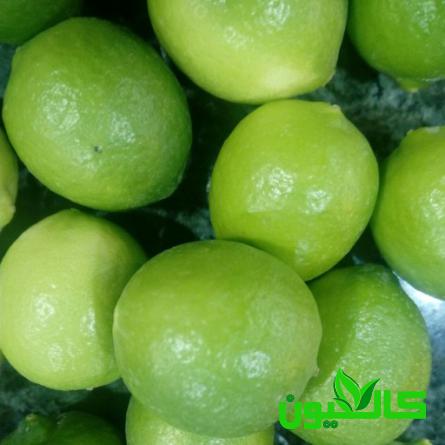 قیمت عمده لیمو میناب کیلویی ارزان