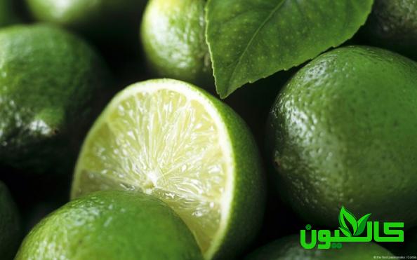 فروش اینترنتی لیمو مصری با تضمین قیمت