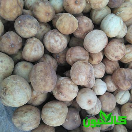 قیمت خرید لیمو عمانی فله