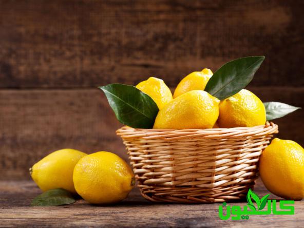 قیمت مناسب لیمو ترش صادراتی
