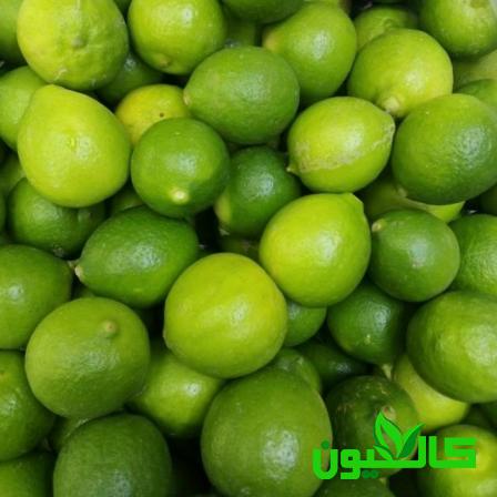 قیمت استثنائی لیمو شیراز درجه یک