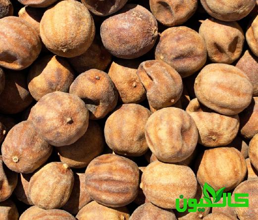قیمت مناسب لیمو عمانی خشک شده