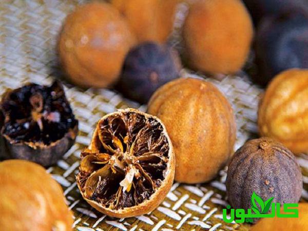 فروش لیمو عمانی خشک شده